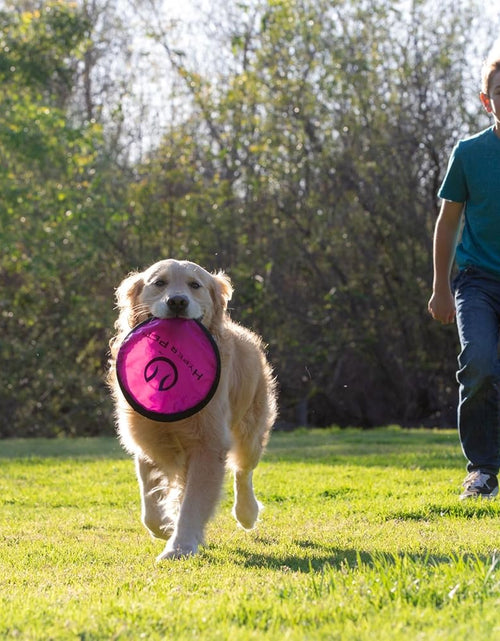 Load image into Gallery viewer, Flippy Flopper Dog Frisbee Interactive Dog Toys (Flying Disc Dog Fetch Toy - Floats in Water &amp; Safe on Teeth) 2 Pack or 5 Pack, Colors Will Vary
