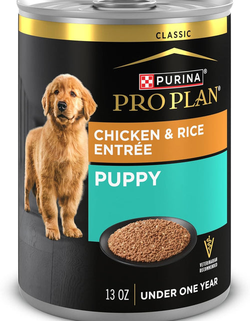Load image into Gallery viewer, Pate Wet Puppy Food, DEVELOPMENT Chicken &amp; Brown Rice Entree - (12) 13 Oz. Cans
